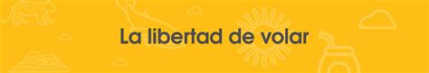 ¡oportunidades De Empleo En Flybondi