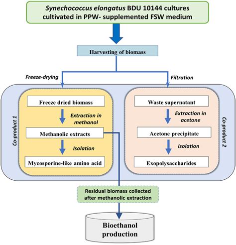 A Schematic Illustration Of A Biorefinery Strategy For Coproducing