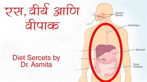 Diet Secrets by Dr Asmita Rasa Veerya and Veepak आहरशसर रहसय