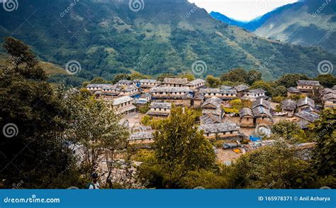 A Gurung Village Between Rice Fields In The Himalayas Nepal Royalty