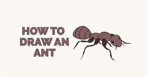 How To Draw An Ant Really Easy Drawing Tutoria