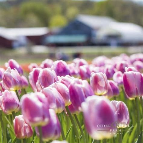 May You Enjoy Everything There Is To Do North Of Boston This Month