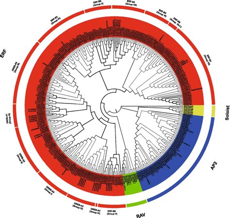 Unrooted Phylogenetic Tree Representing The Relationships Among 163