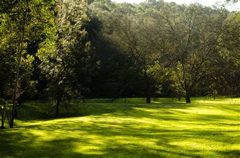 Free Images Landscape Tree Nature Grass Structure Field Lawn