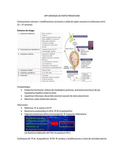 Amenaza De Parto Prematuro Medilove Udocz