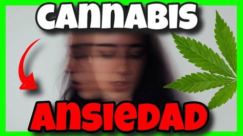 Fumar Cannabis Ayuda Con La Ansiedad O La Aumenta Youtube