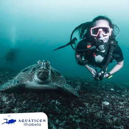 Aquáticos Ilhabela Ilhabela Guia de Viagem e Hospedagem