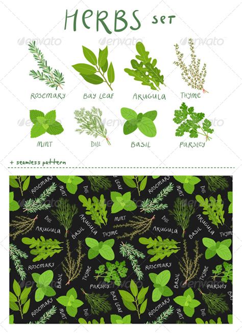 Herbs Graphics Designs And Templates Graphicriver