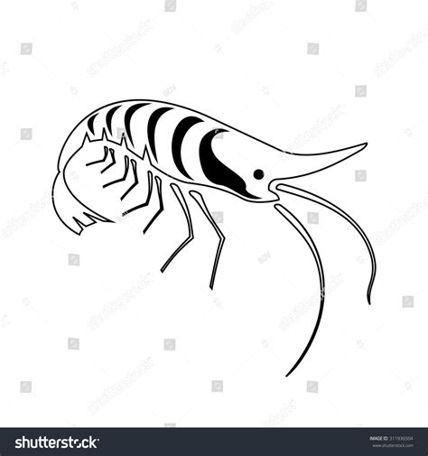 Vector Illustration Black White Shrimp Can Stock Vector (Royalty Free ...