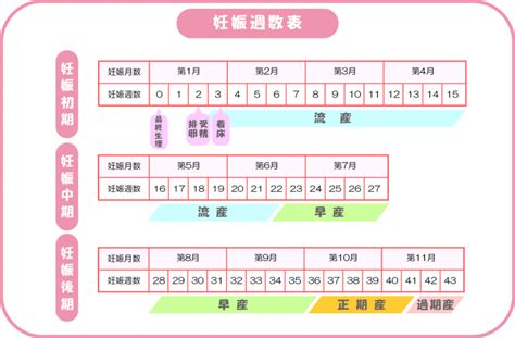 妊娠 計算 の 仕方 Skybexzt