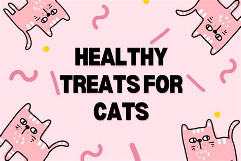 Healthy Treats for Cats - 15 Options That Your Cat Will Surely Love!