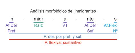 Examen EvAU Madrid 2019 2020 Ordinaria Martes Opción A Morfología