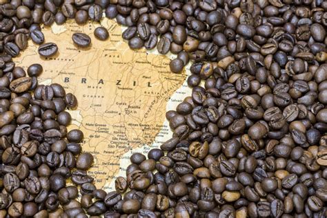 Brazil Long Term Coffee Production Growth Faces Headwinds