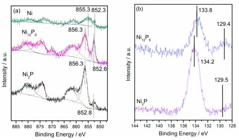 X Ray Photoelectron Spectroscopy Xps Spectra In The Ni 2p Regions Download Scientific