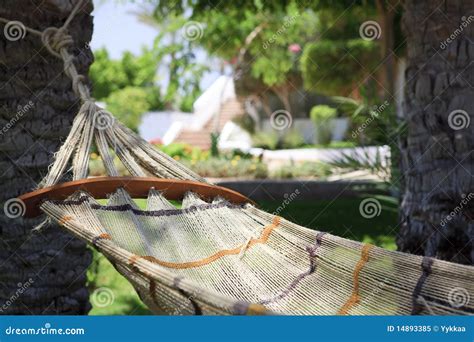 Hammock Under Palm Trees Stock Image Image Of Bench 14893385