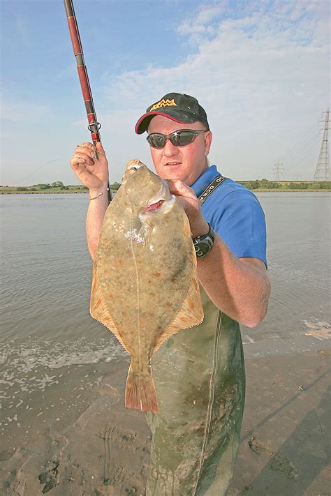 Know Your Fish Flounder Seaangler