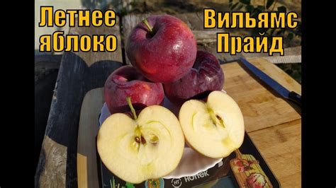 Вильямс Прайд в Самарской области - YouTube