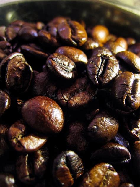 Many Dark Roast Coffee Bean Stock Image Image Of Macro Breakfast