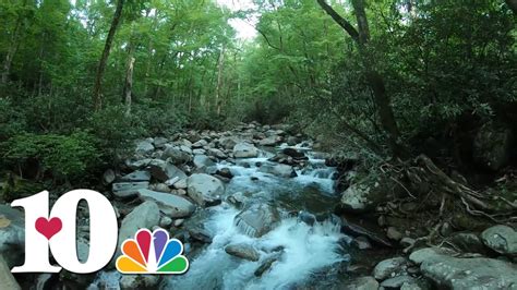 A Hike On Porters Creek Trail In The Great Smoky Mountains Explores