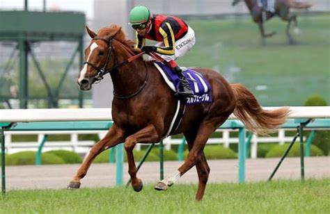 歴代人気馬ランキング！競馬の歴史的勝利を飾った人気馬を紹介 競馬予想サイト｜徹底リサーチ