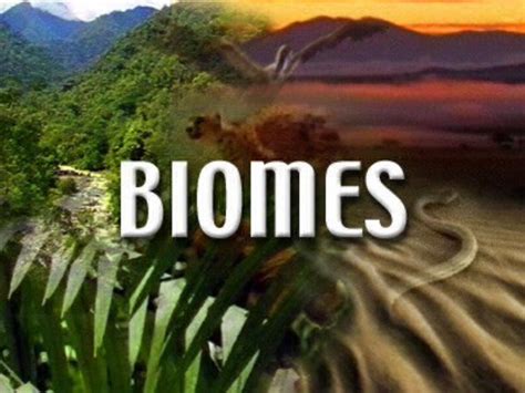 PPTX Major Land Biomes Biome Complex Of Terrestrial Communities That