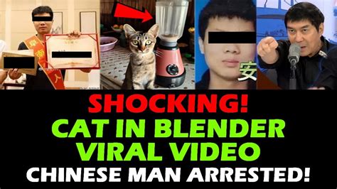 Cat In Blender Video Twitter Full Video Chinese Man Arrested Raffy