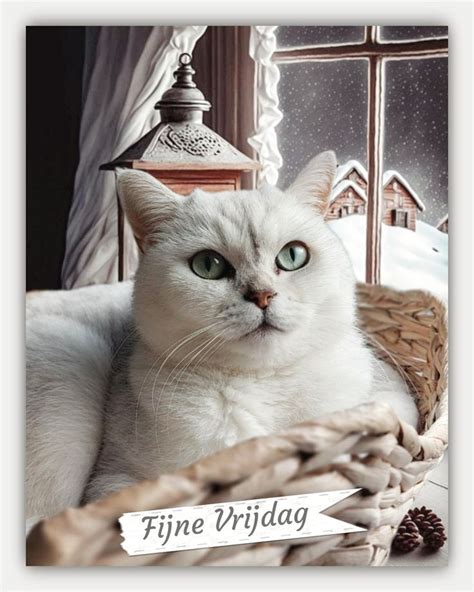 Pin By Jenny Cats On Allerlei Dagen Plaatjes In 2024 Winter