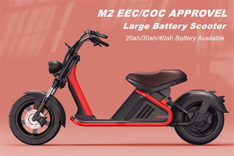 Wholesale Price Citycoco M Fat Tire Electric Scooter W Brushless