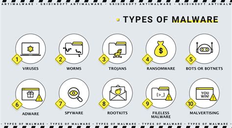 Defining Malware Understanding How It Works And Malware Types