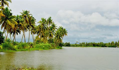 Top 10 Reasons To Visit Kerala In Monsoon Season