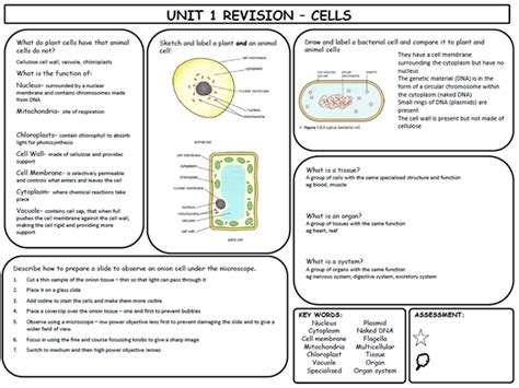 Gcse Biology Completed Cells Revision Mat Knowledge Organiser