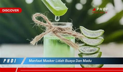 Temukan 7 Manfaat Masker Lidah Buaya Dan Madu Yang Wajib Kamu Intip