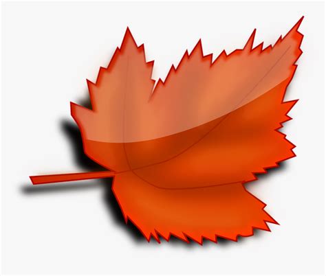 Gratis Billede P Pixabay Ahorn Efter R Red Leaf Clip Art HD Png