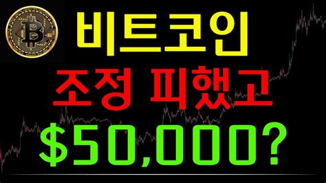 비트코인 50000 Xx억 추가매수 비트코인시황 비트코인전망 비트코인차트분석 Youtube