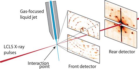 Protein Crystallography Using X Ray Free Electron Lasers