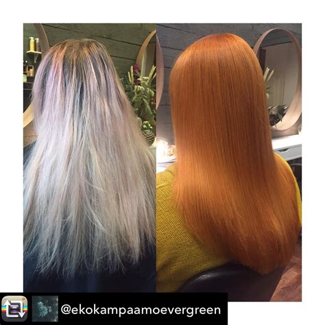 Organic Hair Color Color Me Colour Dyed Hair Long Hair Styles