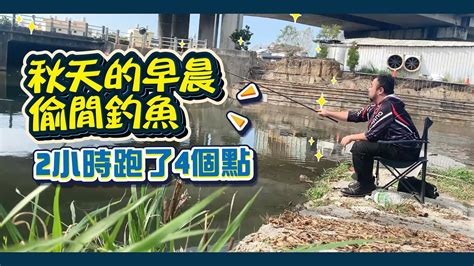 秋天野場晨間釣魚｜跑了四個釣點｜忙裡偷閒趣味一下 Youtube