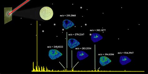 Nitrogen And Sulfur Co Doped Carbon Dot Assisted Laser Desorption