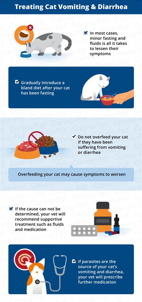 Causes of Vomiting & Diarrhea in Cats | Canna-Pet