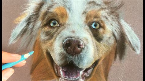 Drawing Dog Fur Ii Pastel Pencil Tutorial Youtube