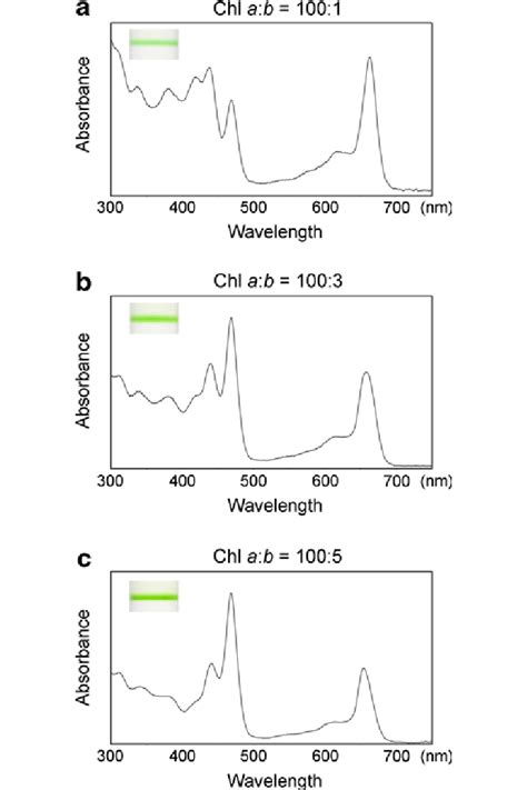 Absorption Spectra Nm Of Lvwscp His Reconstituted With