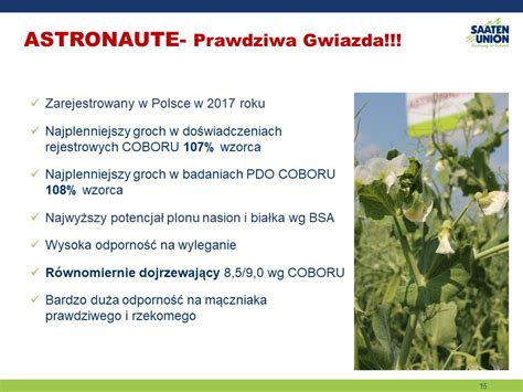 Groch Akademia Rzepaku Portal Dla Rolnik W Producent W Rzepaku