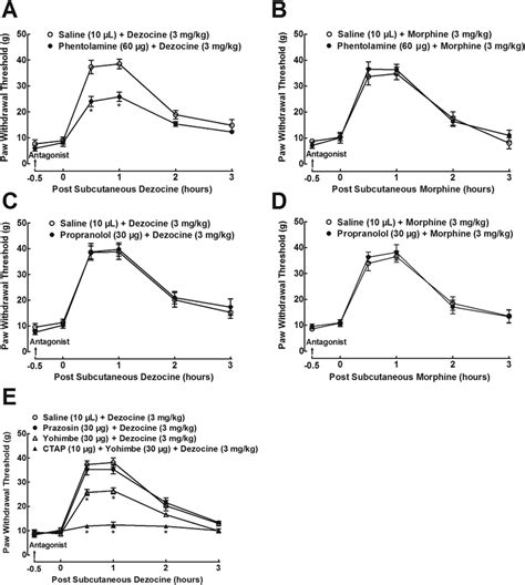 Effects of the selective noradrenergic α adrenoceptor antagonist