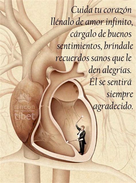 Cuida tu corazón llénalo de amor infinito cárgalo de buenos