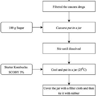 Diagram process kombucha. | Download Scientific Diagram