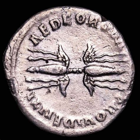 Impero Romano Antonino Pio D C Denarius Rome Mint Ad