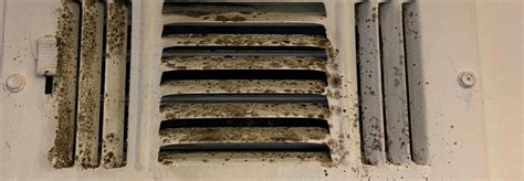 Signs Your Ducts Should Be Cleaned Dustless Duct