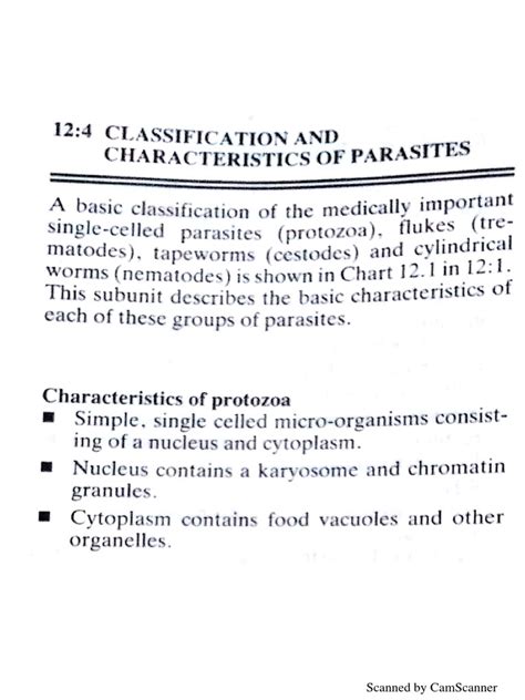 Classification Of Protozoa Pdf