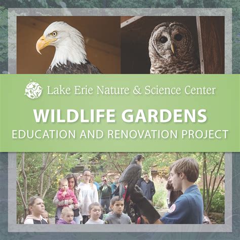 Lake Erie Nature And Science Center Begins Wildlife Gardens Education And