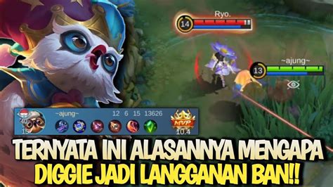 PANTES DIGGIE MASIH SERING DIBAN TERNYATA INI ALASANNYABUILD DIGGIE